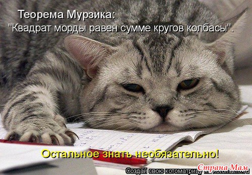 Цитаты+котоматрица 7
