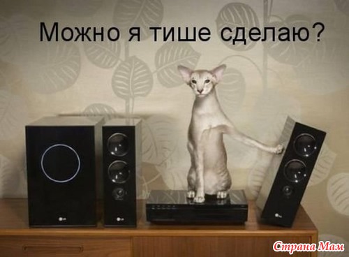 Цитаты+котоматрица 7
