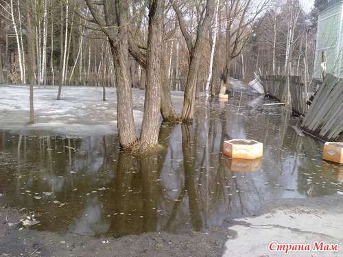 Парк затопило))