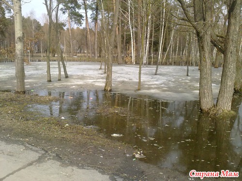 Парк затопило))