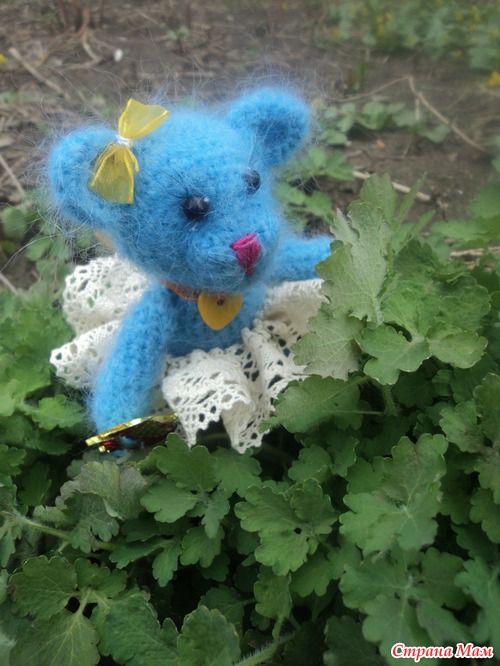 Кошечка, пока без имени