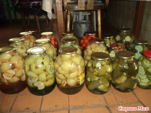 Ах какие яблочки!