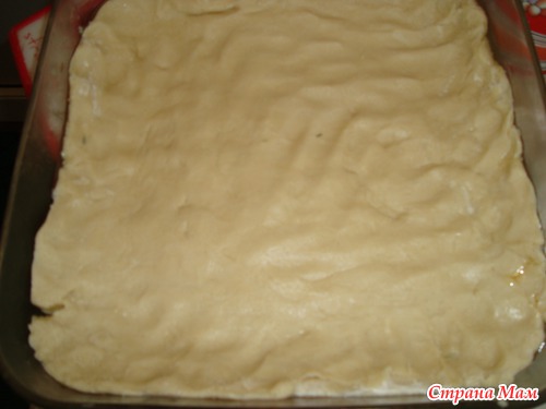 Пирог с арбикосами и клубникой.