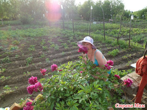 Кусочек прошлого лета)))