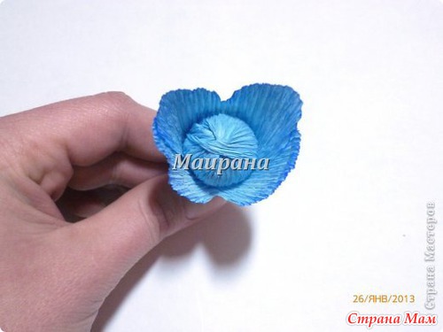 Анютины глазки из конфет и гофрированной бумаги.