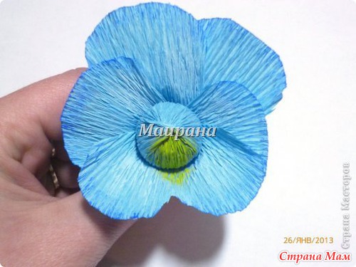 Анютины глазки из конфет и гофрированной бумаги.