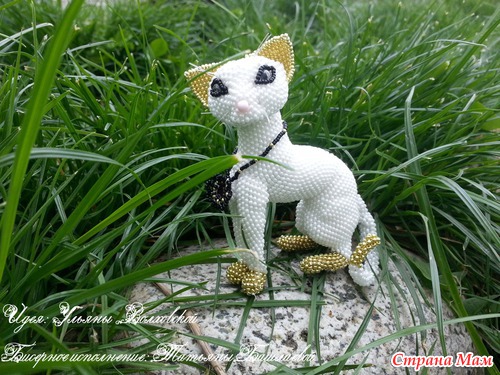 Кошечка 2