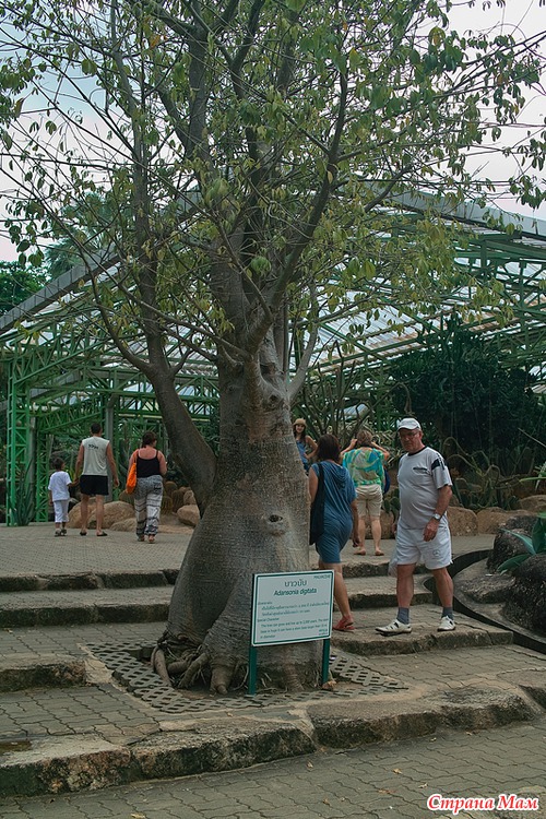 Зимовка 2012, экскурсии