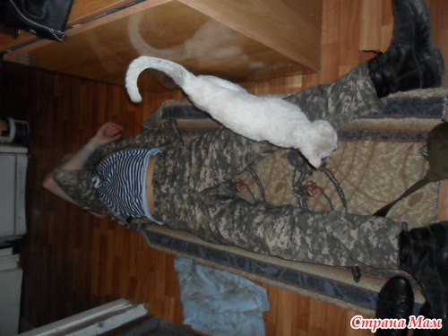 Военная подготовка в школах
