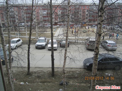 Взгляд из окна