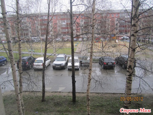 Взгляд из окна