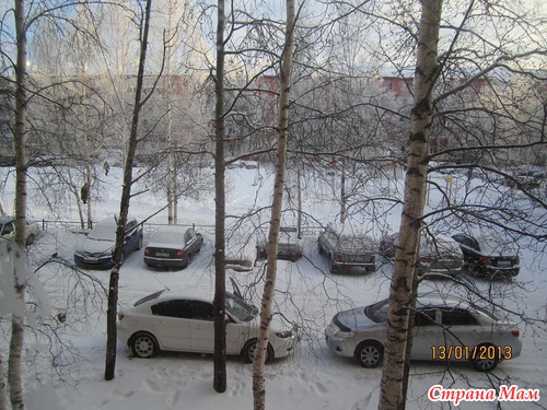 Взгляд из окна