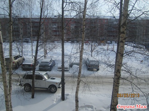 Взгляд из окна