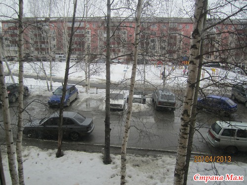 Взгляд из окна