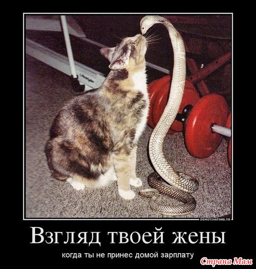 Муж не принес домой ЗАРПЛАТУ!!! ВОН ИЗ ДОМА!!!