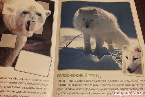 ТД Квадрат