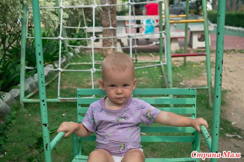 Зимовка 2012, вирус-квартирус