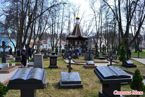 Оптина пустынь Шамардино