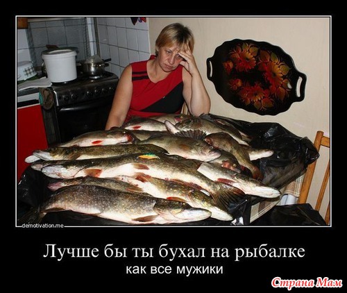 Цитаты и фото приколы. Просто поржать 2