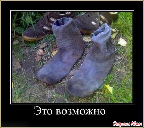 Цитаты и фото приколы. Просто поржать 2