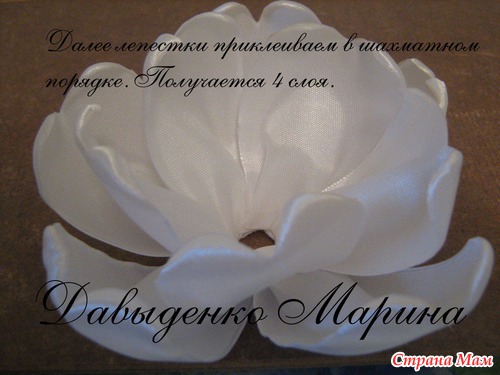 Мк белого цветка