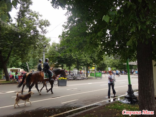 Прогулки по Москве. Парк Сокольники (много фото)