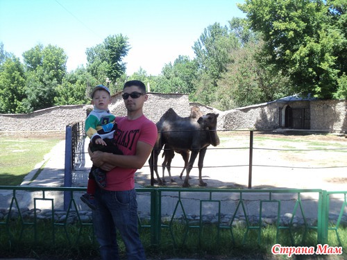 Зоопарк. Прогулка.
