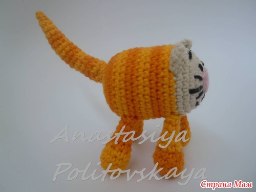 Позитивные котики