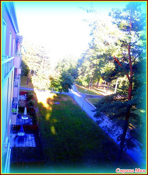 Повезло с соседями