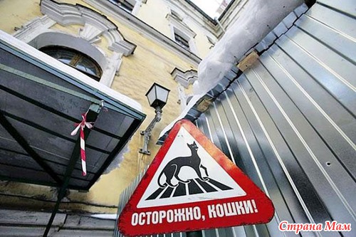 Верные помощники