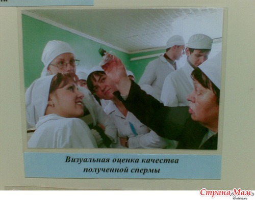 Салон Куни:сбежавшие буквы