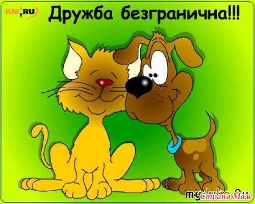 Розыгрыш в честь ГОДовщины. РЕЗУЛЬТАТЫ!