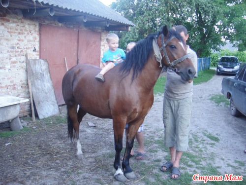 Из последнего...