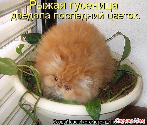 Улыбнитесь!!! Что я нашла!!!
