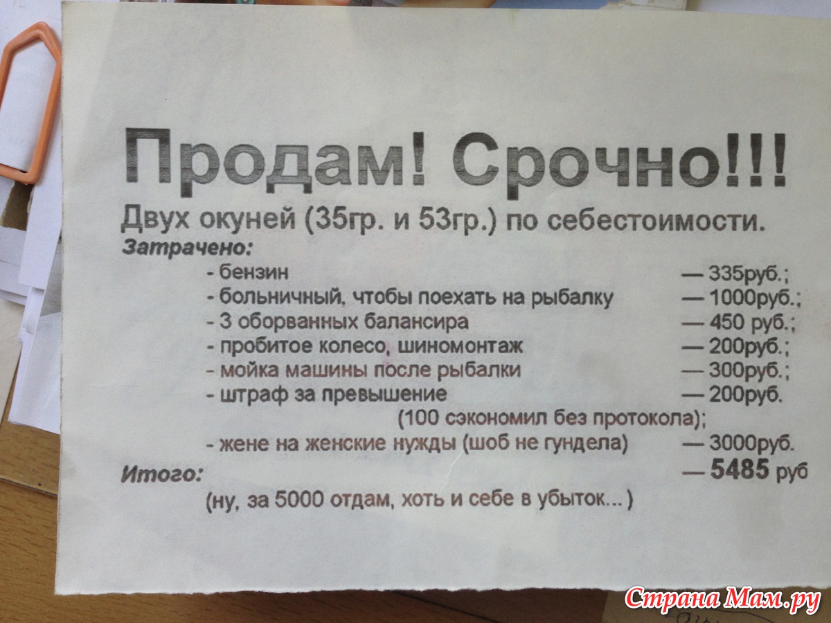 Згр объявления. Продам двух окуней по себестоимости прикол. Продам окуня по себестоимости. Продам окуня по себестоимости прикол. Продам 2 окуня по себестоимости.