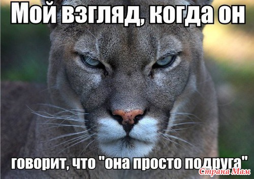 ПОДНИМАЕТ НАСТРОЕНИЕ!