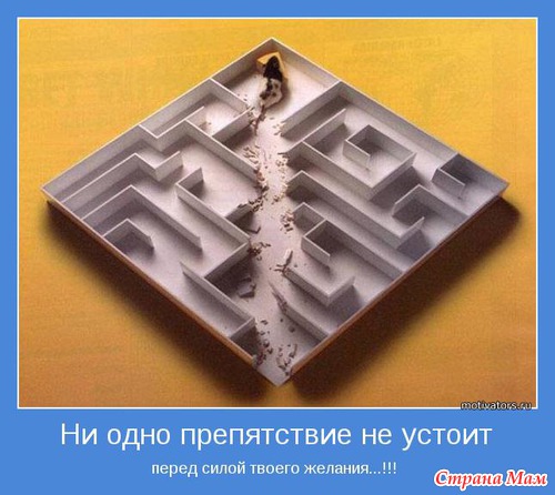 Мудр, кто знает нужное, а не многое. Мотиваторы!
