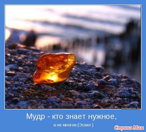Мудр, кто знает нужное, а не многое. Мотиваторы!