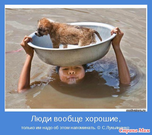Мудр, кто знает нужное, а не многое. Мотиваторы!