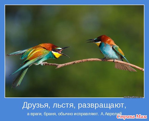 Мудр, кто знает нужное, а не многое. Мотиваторы!