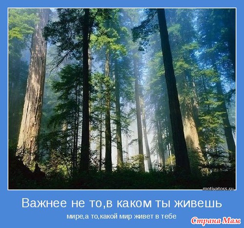 Мудр, кто знает нужное, а не многое. Мотиваторы!