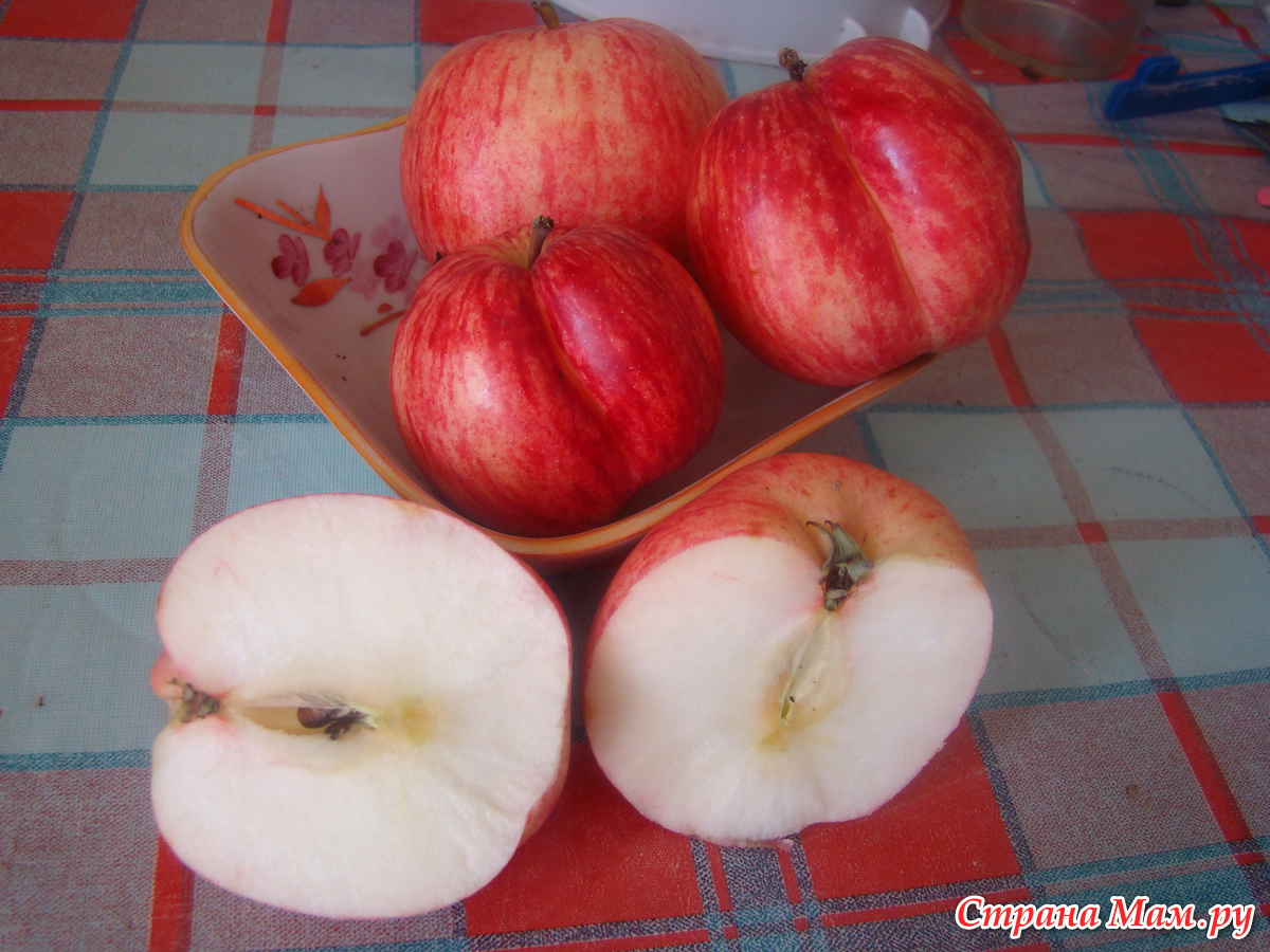 Сорт яблок с красными прожилками
