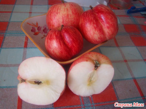 сорт яблок с красными прожилками в мякоти