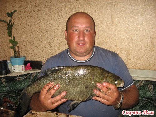 Рыбалочка...
