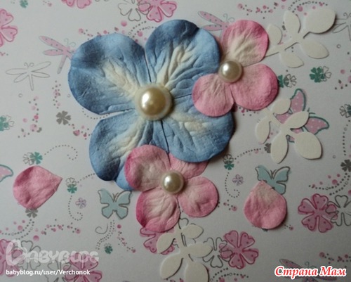 Альбом для Серафимы