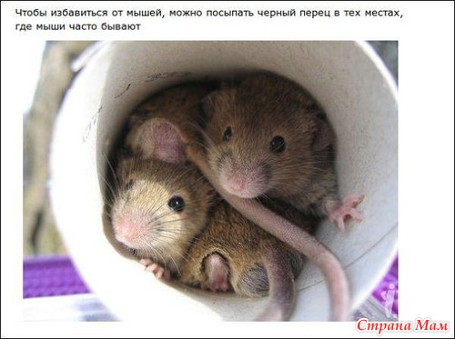 Простые хитрости, делающие нашу жизнь проще