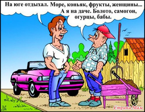 Воскресный юмор