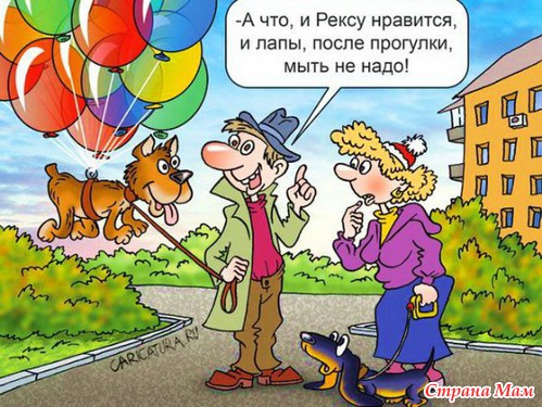 Воскресный юмор