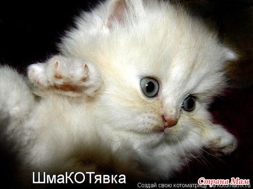 Анекдоты про меня!!!