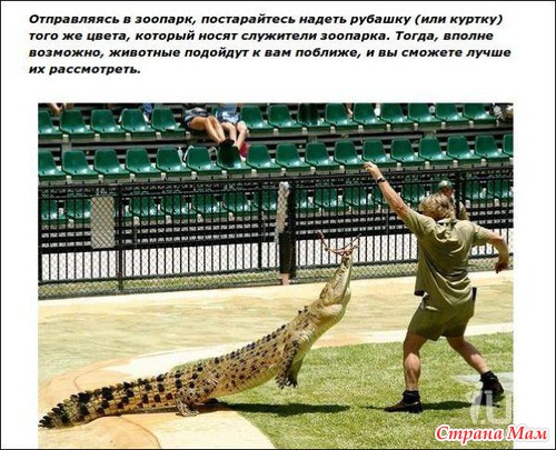 Простые хитрости, делающие нашу жизнь проще